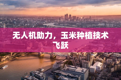 无人机助力，玉米种植技术飞跃
