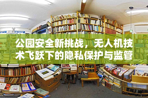 公园安全新挑战，无人机技术飞跃下的隐私保护与监管策略