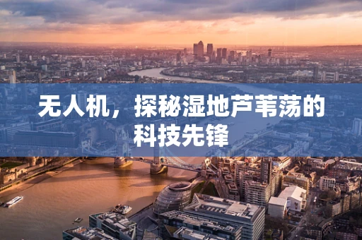 无人机，探秘湿地芦苇荡的科技先锋