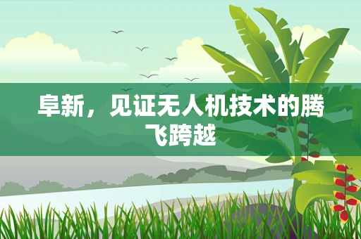 阜新，见证无人机技术的腾飞跨越