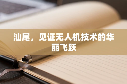 汕尾，见证无人机技术的华丽飞跃