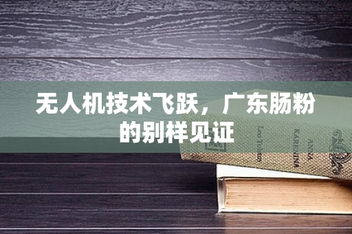 无人机技术飞跃，广东肠粉的别样见证