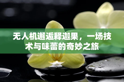 无人机邂逅释迦果，一场技术与味蕾的奇妙之旅