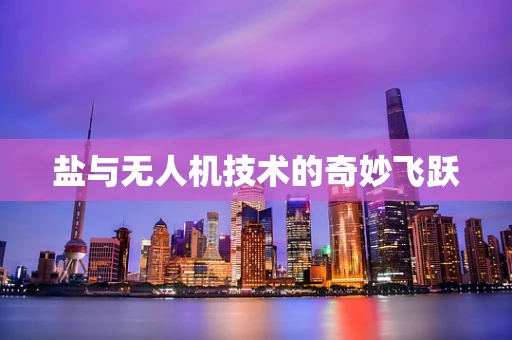 盐与无人机技术的奇妙飞跃