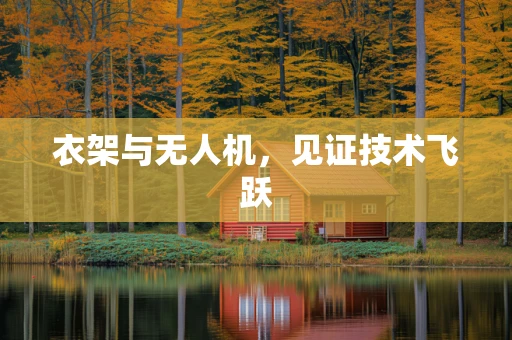 衣架与无人机，见证技术飞跃