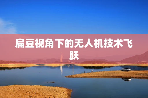 扁豆视角下的无人机技术飞跃