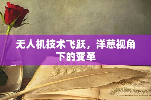 无人机技术飞跃，洋葱视角下的变革