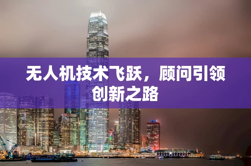 无人机技术飞跃，顾问引领创新之路