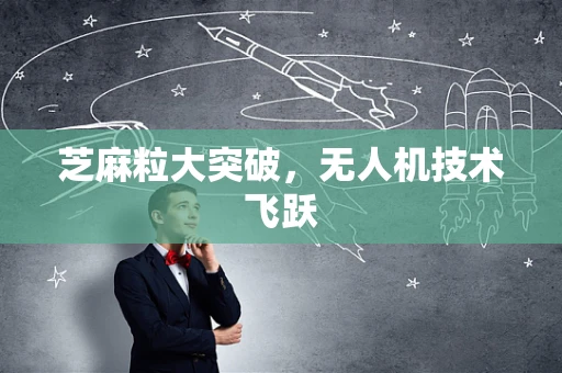 芝麻粒大突破，无人机技术飞跃