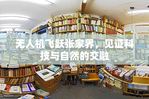 无人机飞跃张家界，见证科技与自然的交融