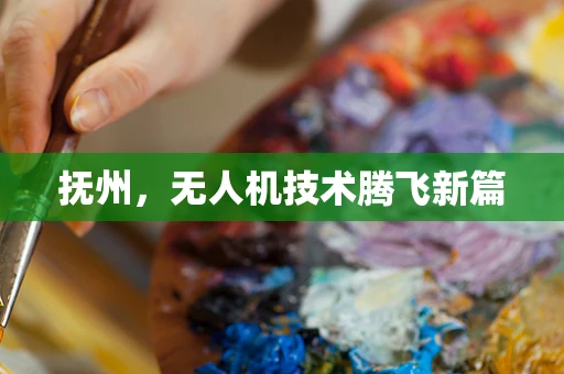 抚州，无人机技术腾飞新篇