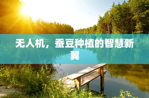 无人机，蚕豆种植的智慧新翼
