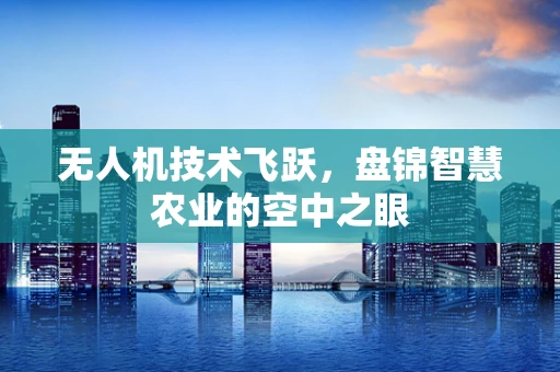 无人机技术飞跃，盘锦智慧农业的空中之眼
