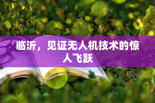 临沂，见证无人机技术的惊人飞跃