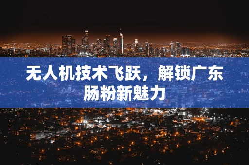 无人机技术飞跃，解锁广东肠粉新魅力