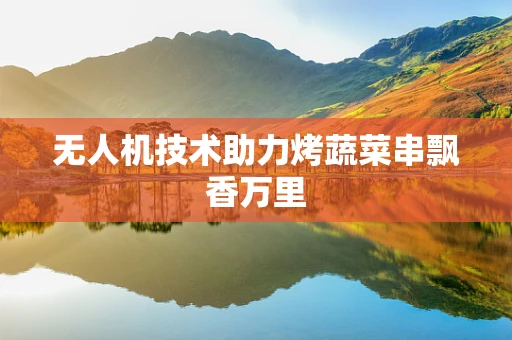 无人机技术助力烤蔬菜串飘香万里