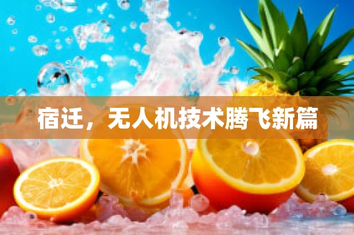 宿迁，无人机技术腾飞新篇