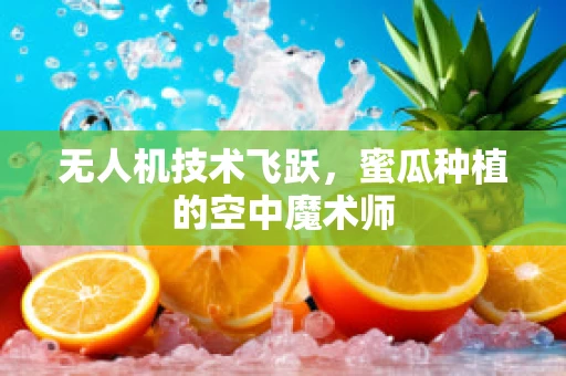 无人机技术飞跃，蜜瓜种植的空中魔术师