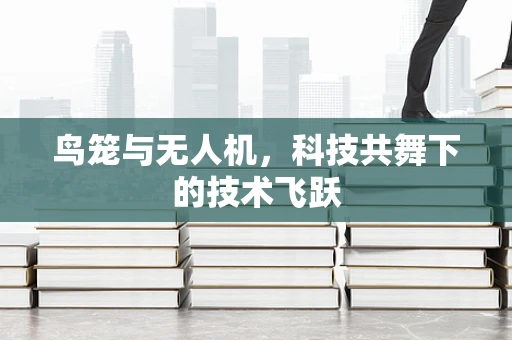 鸟笼与无人机，科技共舞下的技术飞跃