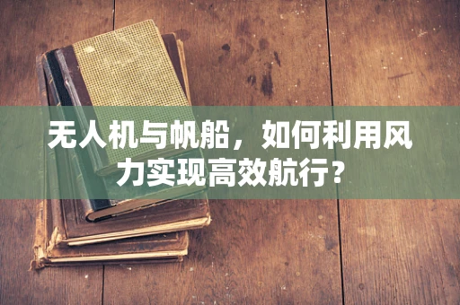 无人机与帆船，如何利用风力实现高效航行？