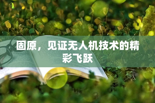 固原，见证无人机技术的精彩飞跃