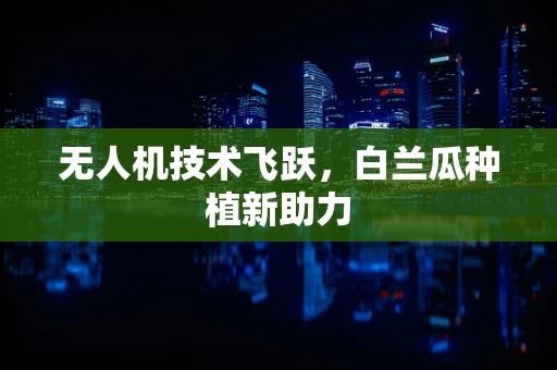 无人机技术飞跃，白兰瓜种植新助力