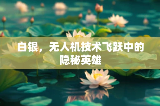 白银，无人机技术飞跃中的隐秘英雄
