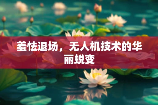 羞怯退场，无人机技术的华丽蜕变