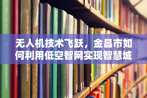 无人机技术飞跃，金昌市如何利用低空智网实现智慧城市新飞跃？