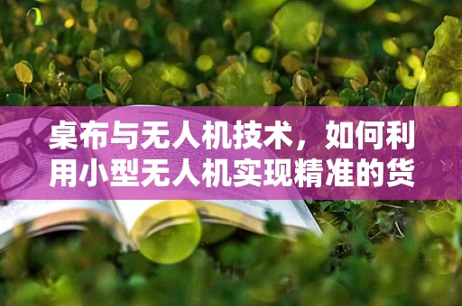 桌布与无人机技术，如何利用小型无人机实现精准的货物配送？