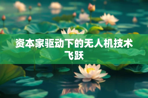 资本家驱动下的无人机技术飞跃