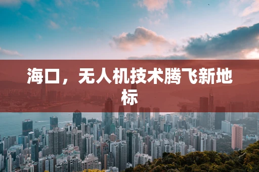 海口，无人机技术腾飞新地标