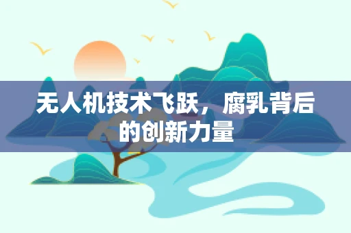无人机技术飞跃，腐乳背后的创新力量
