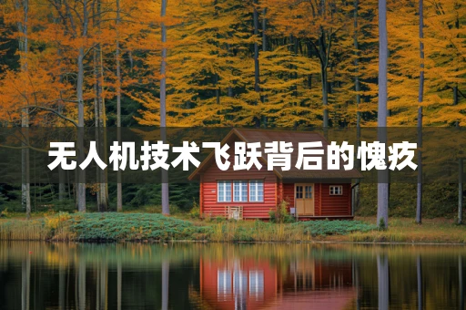 无人机技术飞跃背后的愧疚