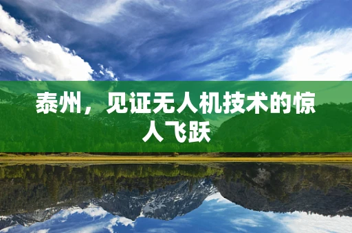 泰州，见证无人机技术的惊人飞跃