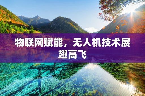物联网赋能，无人机技术展翅高飞