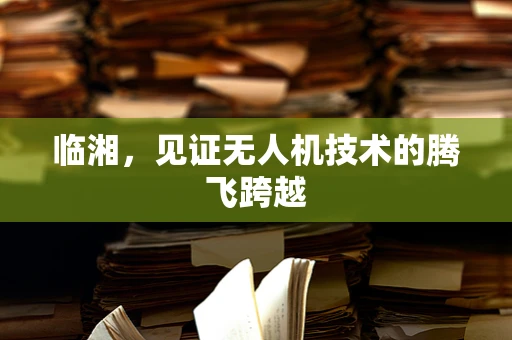 临湘，见证无人机技术的腾飞跨越