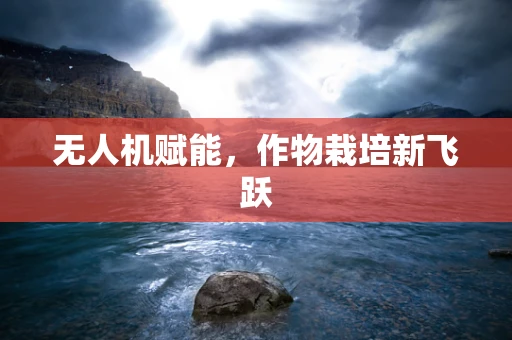 无人机赋能，作物栽培新飞跃