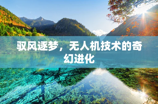 驭风逐梦，无人机技术的奇幻进化