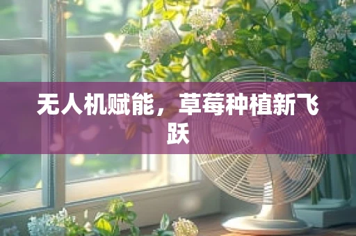无人机赋能，草莓种植新飞跃