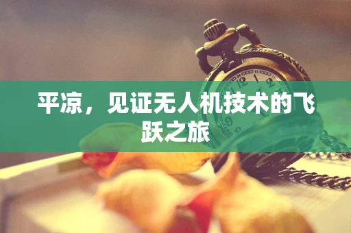 平凉，见证无人机技术的飞跃之旅