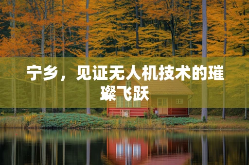宁乡，见证无人机技术的璀璨飞跃