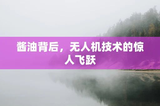 酱油背后，无人机技术的惊人飞跃