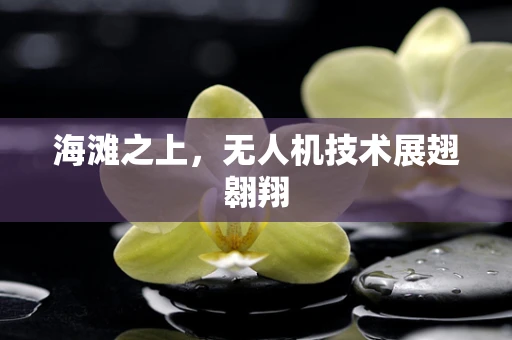海滩之上，无人机技术展翅翱翔