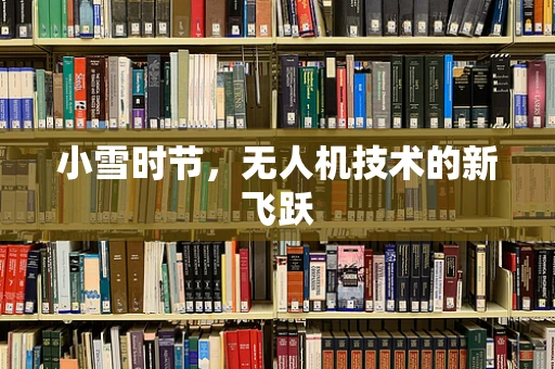 小雪时节，无人机技术的新飞跃