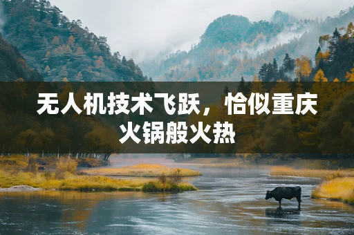 无人机技术飞跃，恰似重庆火锅般火热