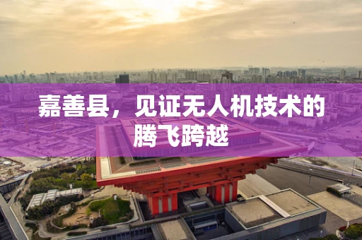 嘉善县，见证无人机技术的腾飞跨越