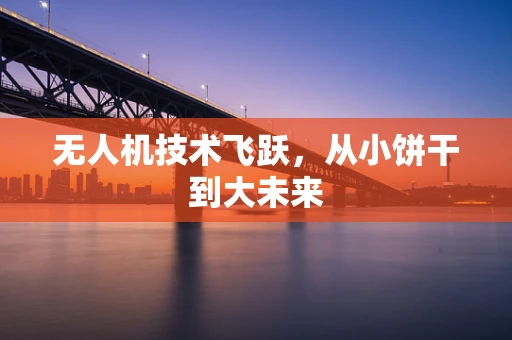 无人机技术飞跃，从小饼干到大未来