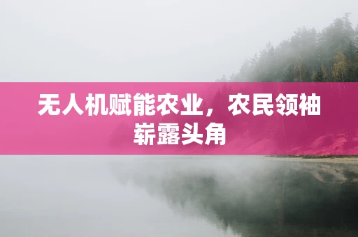 无人机赋能农业，农民领袖崭露头角
