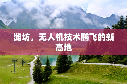 潍坊，无人机技术腾飞的新高地